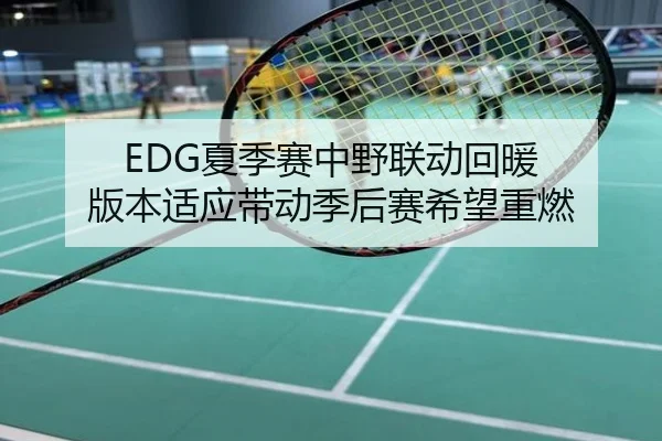 EDG夏季赛中野联动回暖 版本适应带动季后赛希望重燃