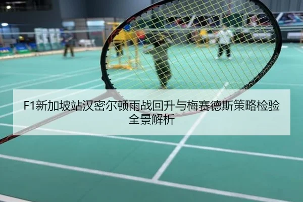 F1新加坡站汉密尔顿雨战回升与梅赛德斯策略检验全景解析